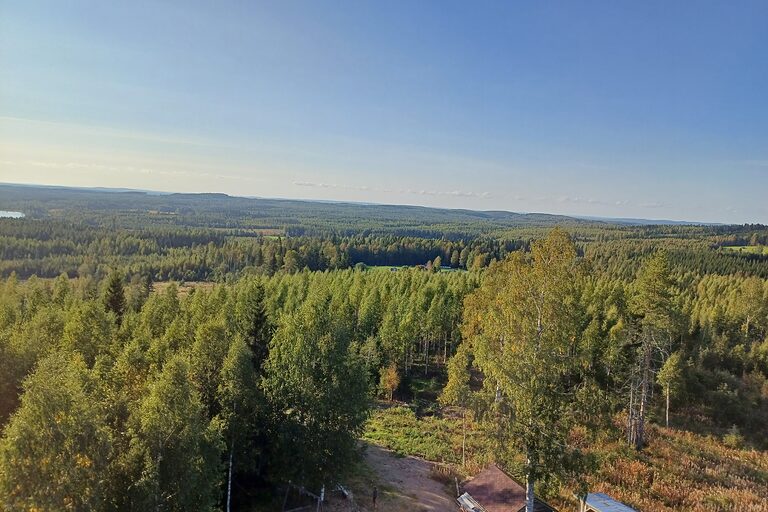 Blick von oben auf Finnische Waldlandschaft